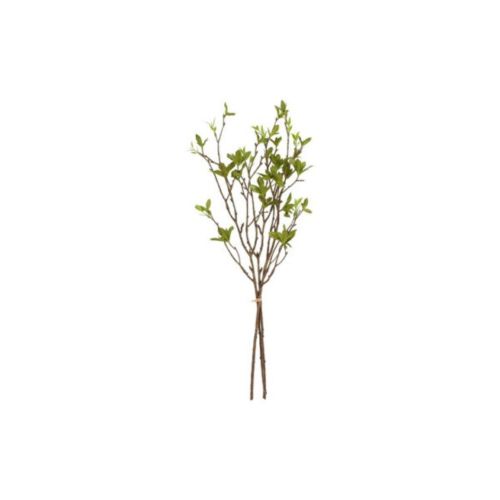 Evigheds Betula Bundt 3stk H56cm - Grøn