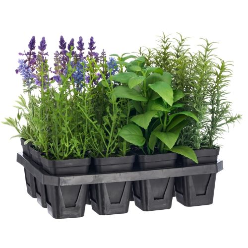 Evigheds Krydderurte mix 5 ass. H25cm