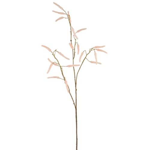 Evigheds Acalypha Peach H72cm