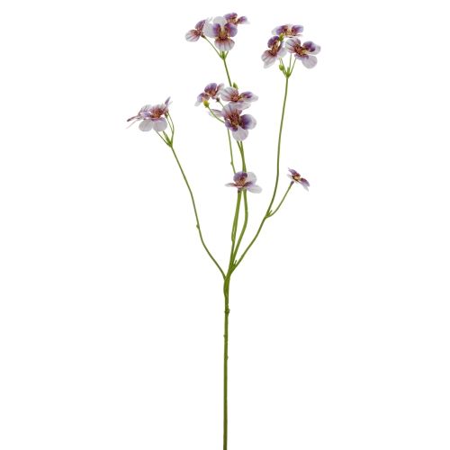 Evigheds Stedmoderblomst H62cm - Lys Lilla