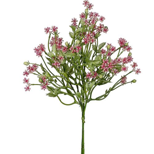 Evighedsblomst Pumila bundt pink 34 cm