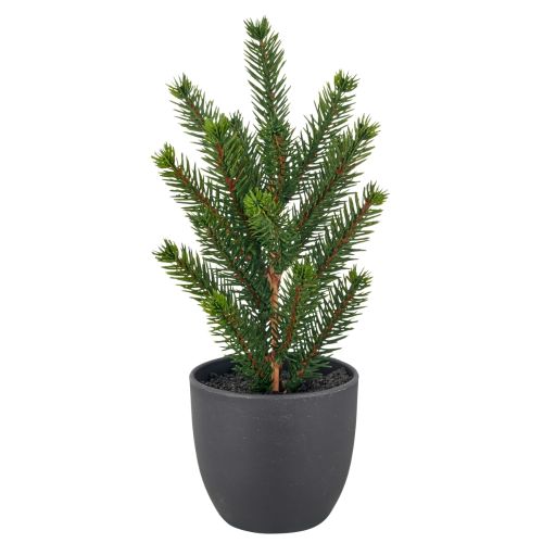 Evigheds Gran Træ Grøn H20cm