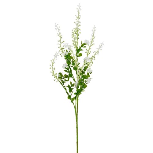Evighedsblomst Phytolacca 72cm - Hvid