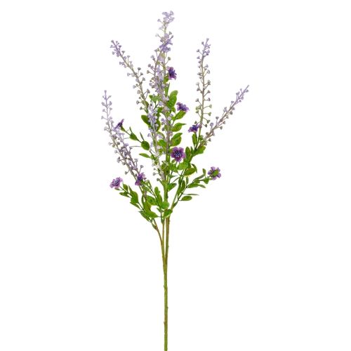 Evighedsblomst Phytolacca 72cm - Lilla