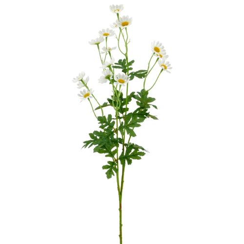 Evighedsblomst Marguerit H71cm - Hvid